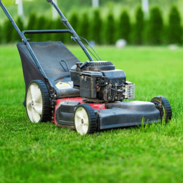 Jardinage & entretien extérieur à Saint-Benoît (97470) — HESTIA